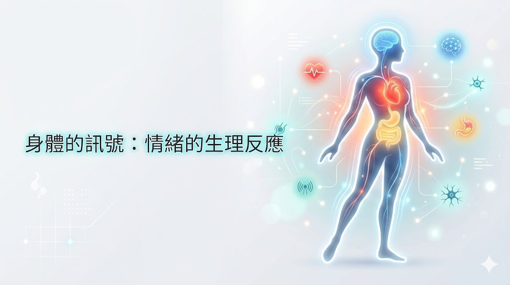 身體的訊號：情緒的生理反應